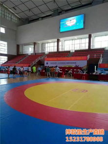 標(biāo)準(zhǔn)比賽摔跤墊廠家報價 山東摔跤墊廠家 摔跤墊