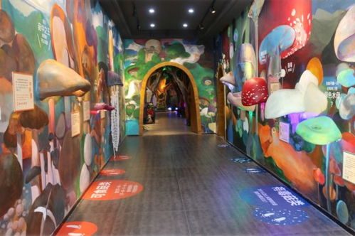 百興食品旗下蘑幻菇林是孩子們認(rèn)識(shí)食用菌的成長(zhǎng)樂(lè)園