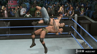 美國(guó)職業(yè)摔角聯(lián)盟2010 ps3截圖圖片 24 游俠圖庫(kù)