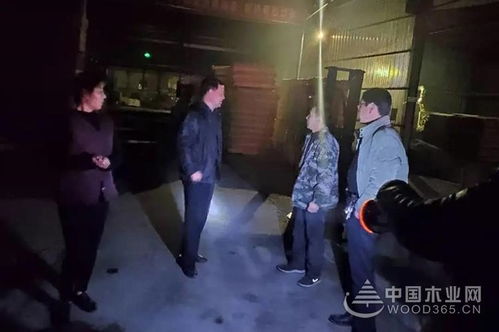 臨沂對(duì)木業(yè)等行業(yè)開(kāi)展環(huán)保檢查