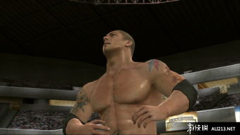美國(guó)職業(yè)摔角聯(lián)盟2010 ps3截圖圖片 105 游俠圖庫(kù)