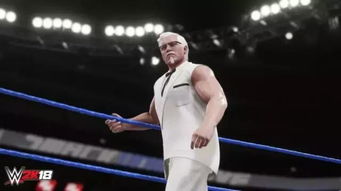 肯德基上校老爺爺居然要參加wwe