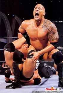 能詳細(xì)列舉一下美國職業(yè)摔角明星嗎,即wwe或ecw