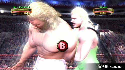 美國(guó)職業(yè)摔跤傳奇 ps3截圖圖片 67 游俠圖庫(kù)