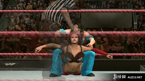 美國職業(yè)摔角聯(lián)盟2010 ps3截圖圖片 96 游俠圖庫