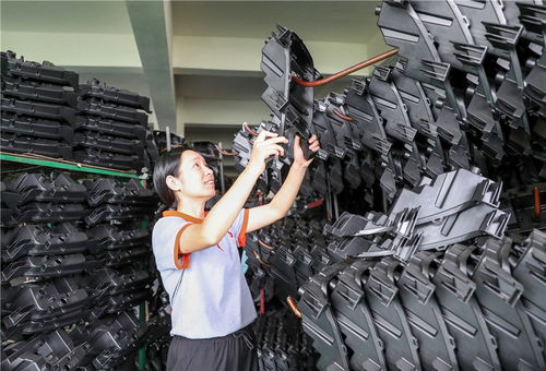 四川廣安 大市 帶 小市 建好 經(jīng)濟(jì)圈 圖