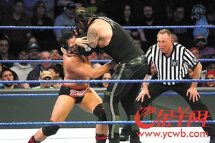 說說美國的著名商標侵權案