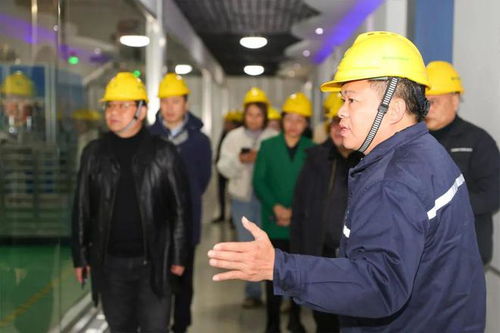 金龍魚 透明工廠 訪廠揭秘 什么才算作高品質(zhì)的好菜油