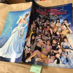 日本格斗技,職業(yè)摔跤代購,日本格斗技,職業(yè)摔跤價格,日本二手格斗技,職業(yè)摔跤,日本格斗技,職業(yè)摔跤商品購買