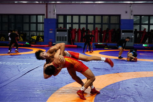 廣西重競技運(yùn)動(dòng)發(fā)展中心全力備戰(zhàn)奧運(yùn)會(huì)和全運(yùn)會(huì)