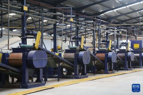 特稿 中非共繪非洲農(nóng)業(yè)發(fā)展藍(lán)圖