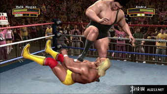 美國職業(yè)摔跤傳奇 ps3截圖圖片 43 游俠圖庫
