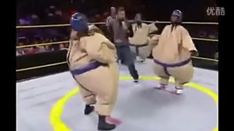 職業(yè)摔角 –