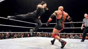 wwe摔角要不要從小練起 他們?nèi)前肼烦黾? class=