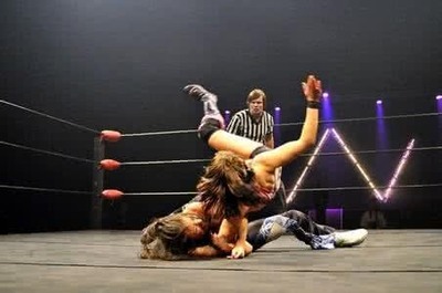 性感的暴力--美國女子職業(yè)摔角