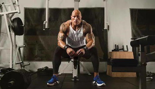 品牌資訊 耐克 安踏 斯凱奇 阿迪 puma 安德瑪 kappa