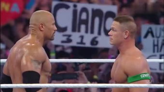 wwe摔角狂熱大賽 –