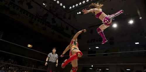 超級(jí)網(wǎng)紅 殷世航被封六百年,誰(shuí)才是小丑