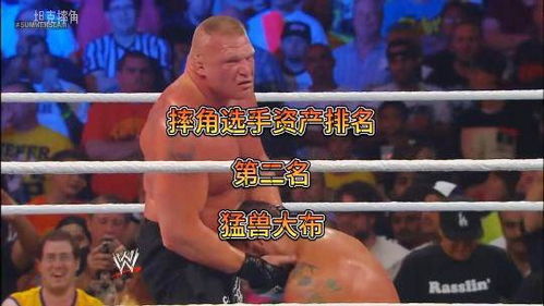 摔角選手資產(chǎn)排名,第二名,猛獸大布 摔角 wwe 拳擊比賽