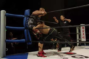 中國職業(yè)摔角的未來 征途起航