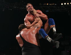 職業(yè)摔角手的精彩現(xiàn)場