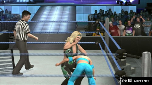 美國職業(yè)摔角聯(lián)盟2010 PS3游戲截圖專題 - 游俠圖庫精選