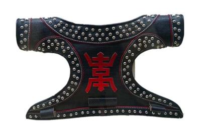 蒙古摔跤 力量與智慧的韜略，跤王的無上榮光