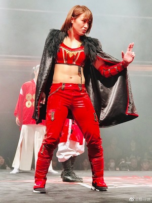 近藤朱里 從UFC敗北到摔角賽場(chǎng)的華麗轉(zhuǎn)身