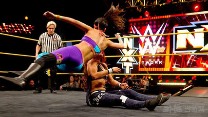 WWE 2K16新手速成攻略 核心技能選擇與摔角技巧解析