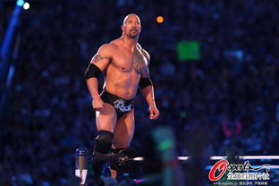 美國(guó)職業(yè)摔角賽 巨石強(qiáng)森領(lǐng)銜暴力美學(xué)