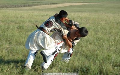 摔跤與摔角 力量與藝術的碰撞